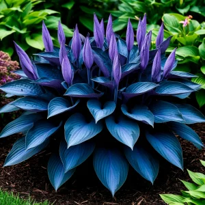 Хоста Сикрет Гров купить по цене от 570р. в интернет-магазине «Посадика» с доставкой почтой в в Лодейное Полее и по всей России – [изображение №1].