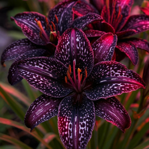 Лилейник Вояж купить по цене от 699р. в интернет-магазине «Посадика» с доставкой почтой в в Лодейное Полее и по всей России – [изображение №1].